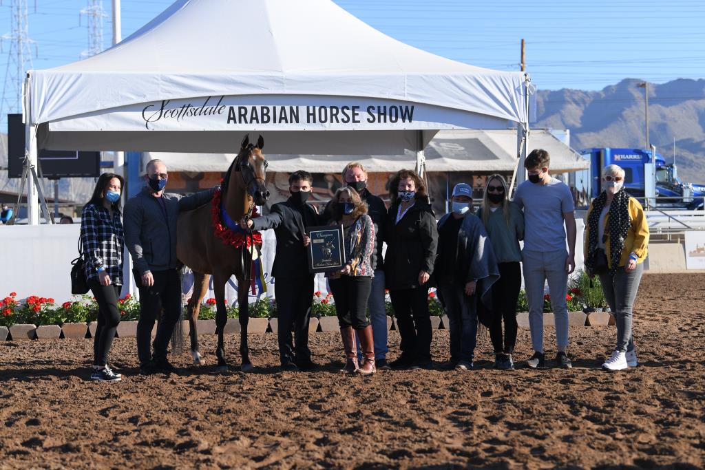 2021 Scottsdale Arabian - FEB 17, WEDNESDAY - Arena 5 - Shows ...